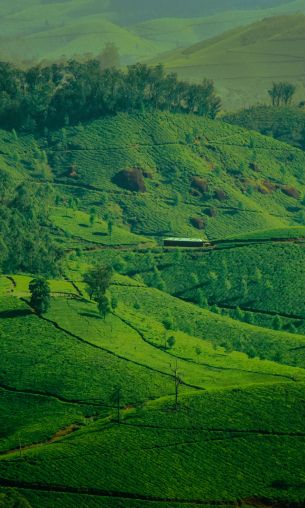 landscape, green, hills Wallpaper 1200x2000