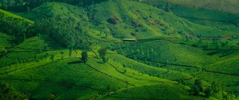 landscape, green, hills Wallpaper 3440x1440