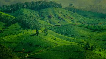 landscape, green, hills Wallpaper 2560x1440
