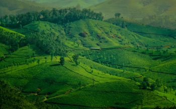 landscape, green, hills Wallpaper 2560x1600