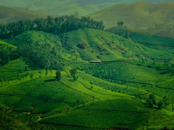 landscape, green, hills Wallpaper 1024x768