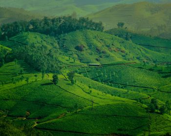 landscape, green, hills Wallpaper 1280x1024