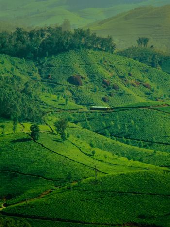 landscape, green, hills Wallpaper 1536x2048