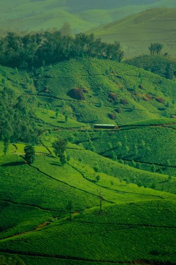 landscape, green, hills Wallpaper 640x960