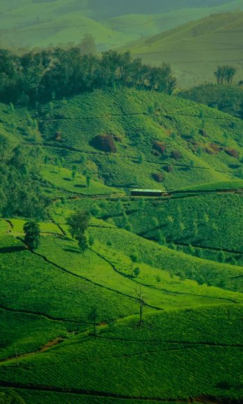 landscape, green, hills Wallpaper 1200x2000