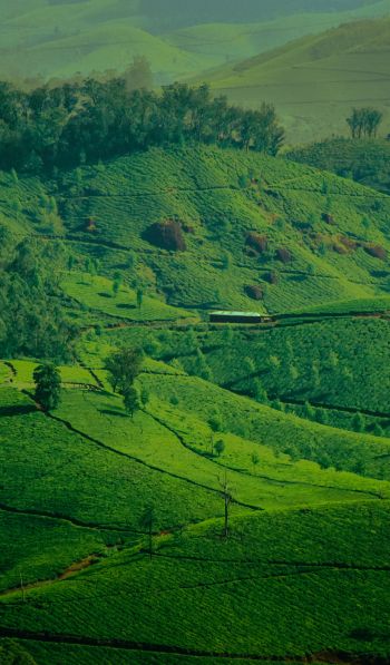 landscape, green, hills Wallpaper 600x1024