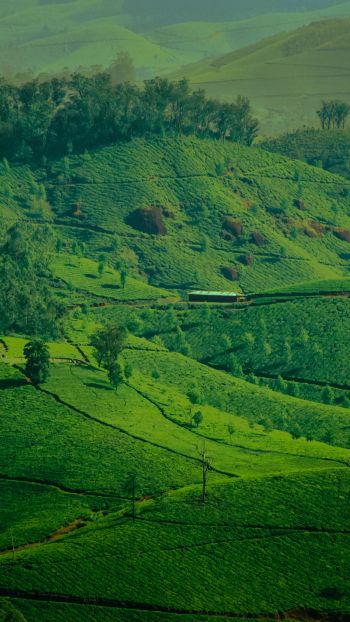 landscape, green, hills Wallpaper 2160x3840