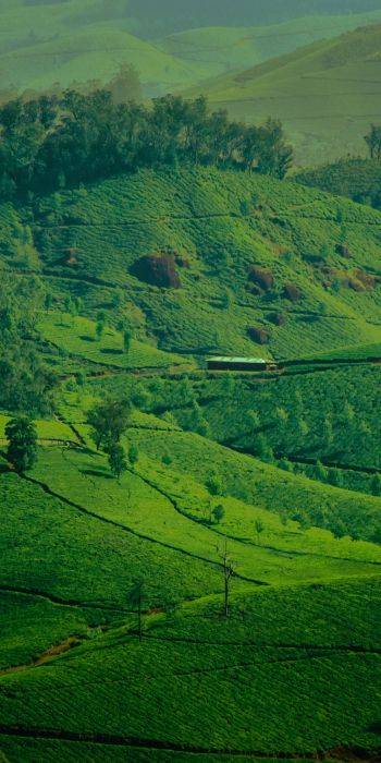 landscape, green, hills Wallpaper 720x1440