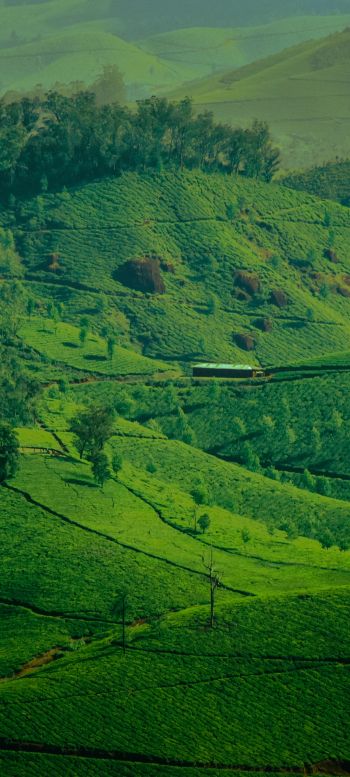 landscape, green, hills Wallpaper 720x1600