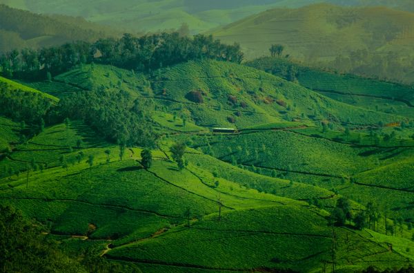 landscape, green, hills Wallpaper 6000x3952