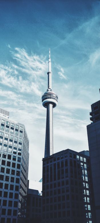Toronto, Canada, tower Wallpaper 1440x3200