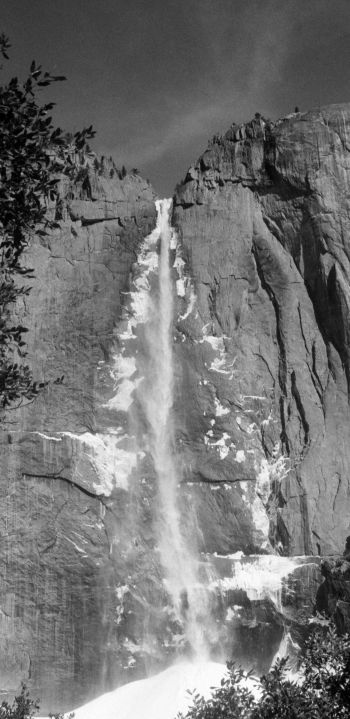 Yosemite Falls, Yosemite National Park, California, USA Wallpaper 1080x2220