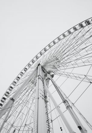 ferris wheel, white Wallpaper 1640x2360