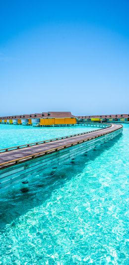 Maldives, blue sea, rest Wallpaper 1440x2960