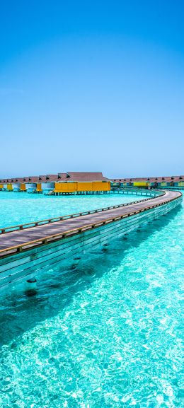 Maldives, blue sea, rest Wallpaper 1440x3200