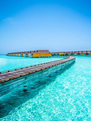 Maldives, blue sea, rest Wallpaper 1620x2160