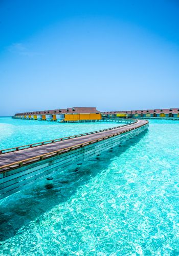 Обои 1668x2388 Мальдивы, лазурное море, отдых