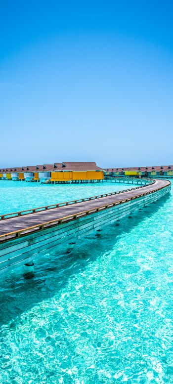 Обои 1080x2400 Мальдивы, лазурное море, отдых