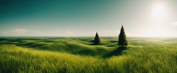 landscape, field, horizon, grass Wallpaper 3440x1440