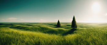 Обои 2560x1080 пейзаж, поле, горизонт, трава