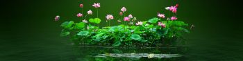 lotus, green, pond Wallpaper 1590x400