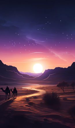 night desert, sunset, dark Wallpaper 600x1024