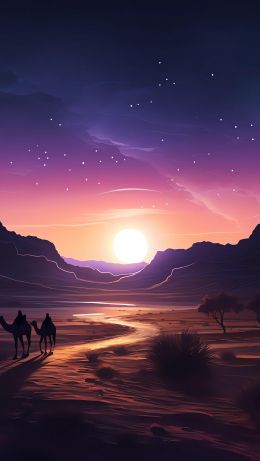 night desert, sunset, dark Wallpaper 640x1136