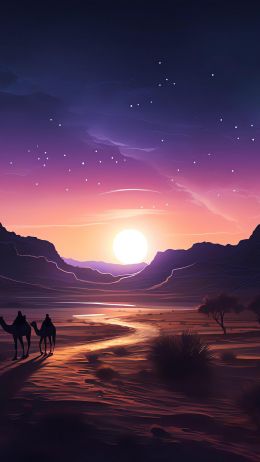 night desert, sunset, dark Wallpaper 1440x2560