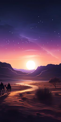 night desert, sunset, dark Wallpaper 720x1440
