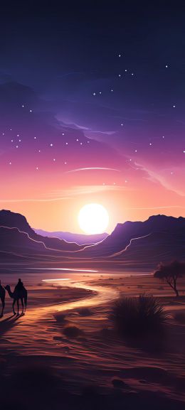 night desert, sunset, dark Wallpaper 1080x2400