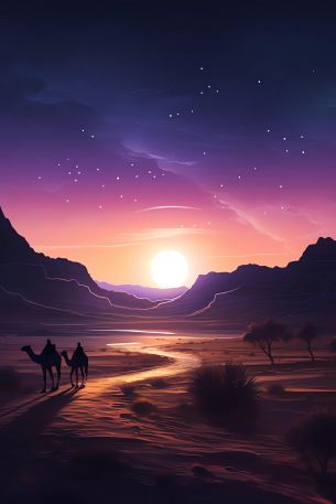 night desert, sunset, dark Wallpaper 640x960