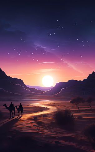 night desert, sunset, dark Wallpaper 1752x2800
