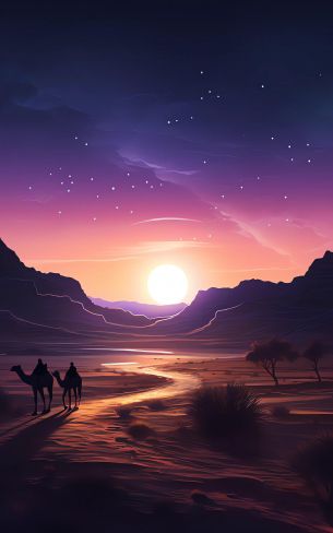 night desert, sunset, dark Wallpaper 1600x2560