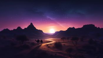 Обои 1600x900 ночная пустыня, закат, темный