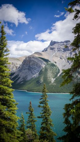 Minnevanka, Canada, lake Wallpaper 720x1280