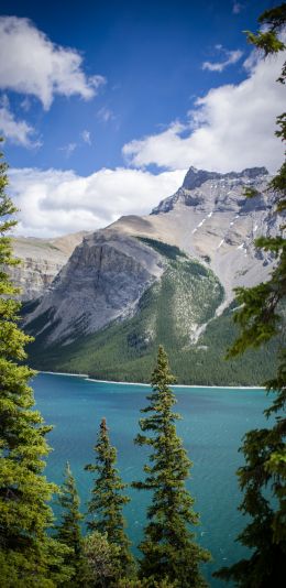 Minnevanka, Canada, lake Wallpaper 1080x2220