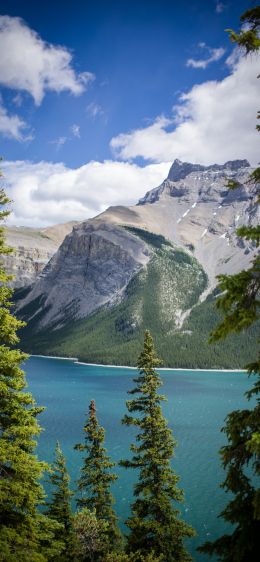 Minnevanka, Canada, lake Wallpaper 828x1792