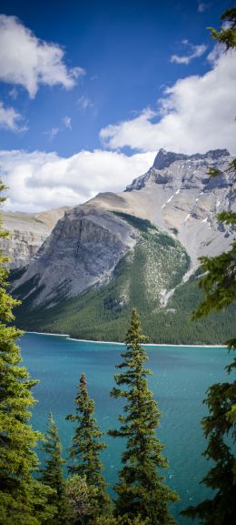 Minnevanka, Canada, lake Wallpaper 720x1600