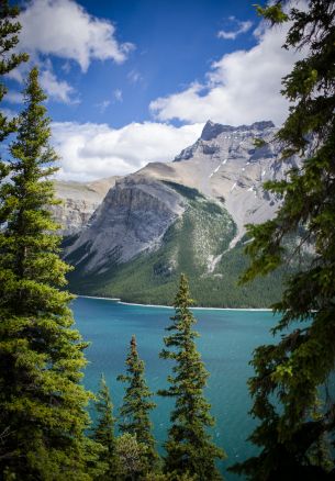 Minnevanka, Canada, lake Wallpaper 1640x2360