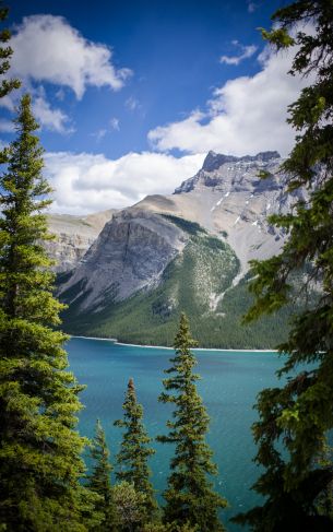 Minnevanka, Canada, lake Wallpaper 1752x2800