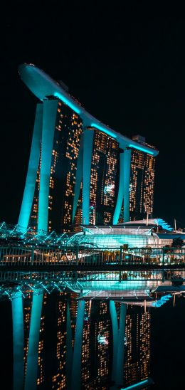 Marina Bay Sands, Singapore, night Wallpaper 1080x2280