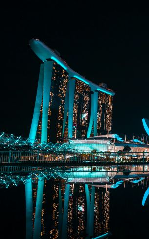 Marina Bay Sands, Singapore, night Wallpaper 1600x2560