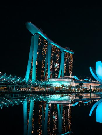 Обои 1620x2160 Marina Bay Sands, Сингапур, ночь