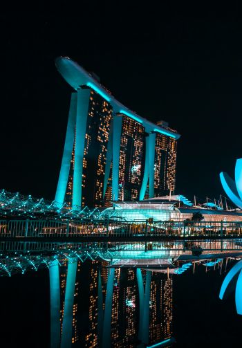 Обои 1640x2360 Marina Bay Sands, Сингапур, ночь