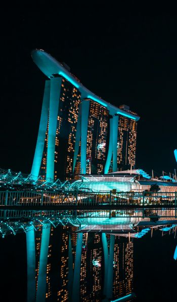 Marina Bay Sands, Singapore, night Wallpaper 600x1024