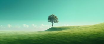 Обои 2560x1080 одинокое дерево, пейзаж, зеленый