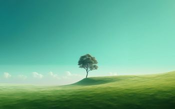 Обои 2560x1600 одинокое дерево, пейзаж, зеленый