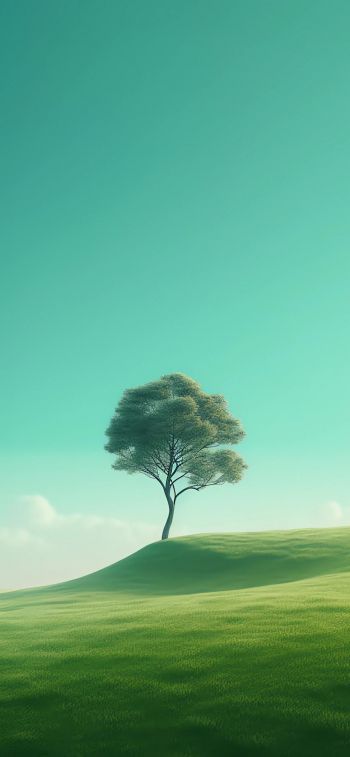 Обои 828x1792 одинокое дерево, пейзаж, зеленый