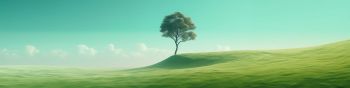 Обои 1590x400 одинокое дерево, пейзаж, зеленый