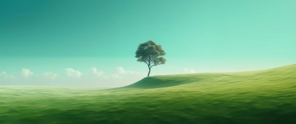 lonely tree, landscape, green Wallpaper 2560x1080